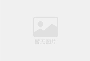 无铝蛋糕泡打粉